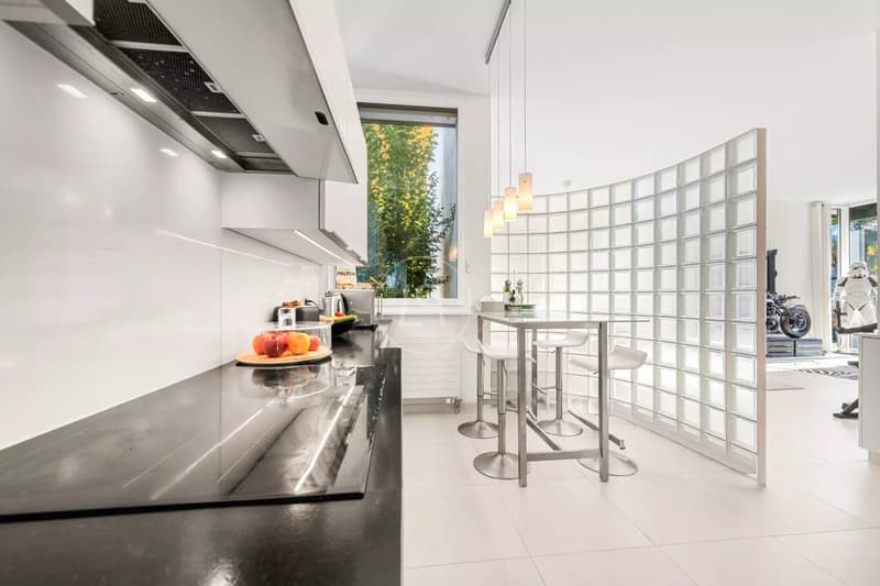 Architect-Designed house in the Geneva Countryside, Left bank (11)