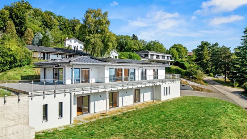 Turnkey contemporary villa with 180 view - Arzier-le-Muids (1)