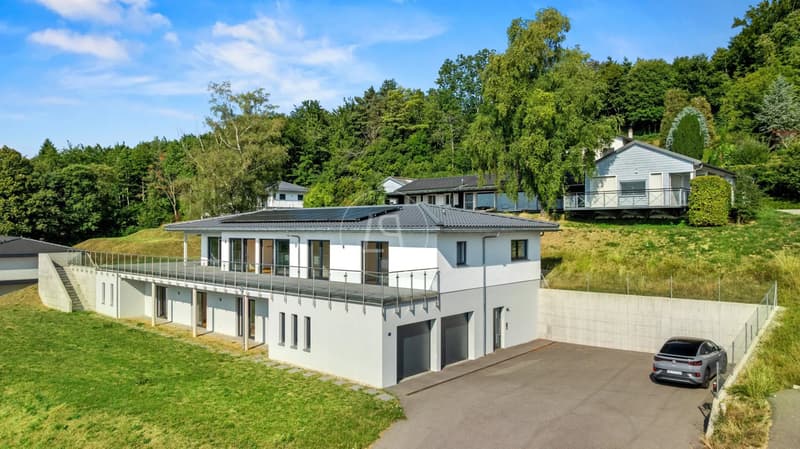 Turnkey contemporary villa with 180 view - Arzier-le-Muids (3)