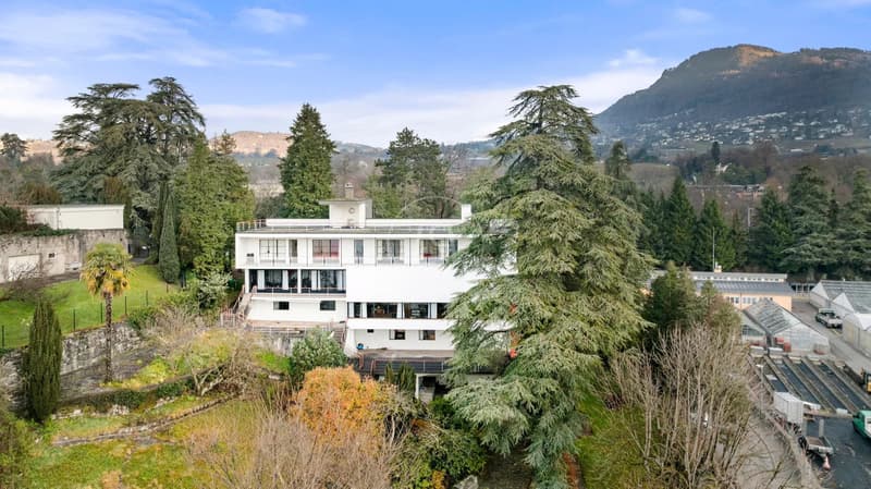 Superb architect-designed property with lake view in the Tour de Peilz (11)