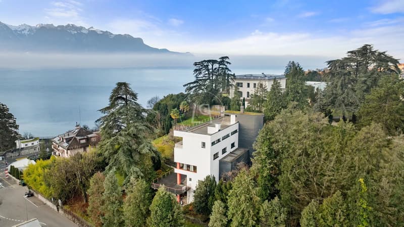 Superb architect-designed property with lake view in the Tour de Peilz (1)