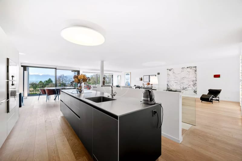 Superb 328 m2 duplex with gardens and lake view in the heart of Corsie (8)