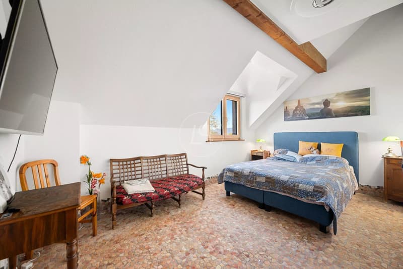 Daillens - Exceptional estate with indoor pool, guesthouse, and park of over 6,000 m² (13)