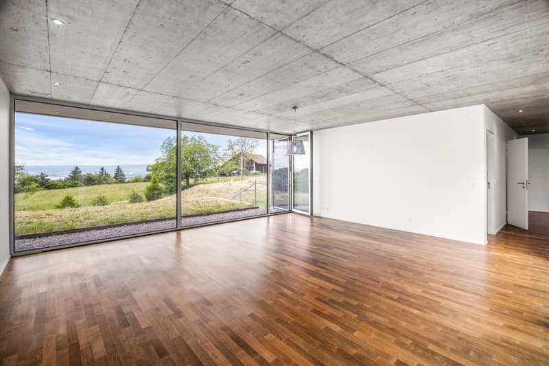 Beautiful family apartment, turnkey, superb view of the lake, Aran (Bourg en Lavaux). (6)