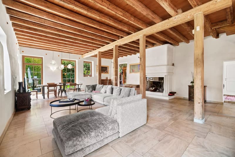 Beautiful renovated farmhouse it the south of Genthod  (GE) (4)
