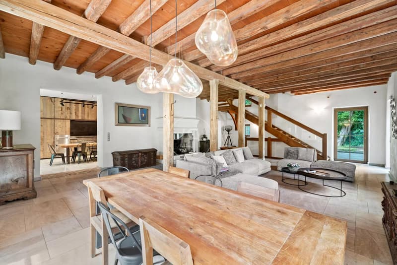 Beautiful renovated farmhouse it the south of Genthod  (GE) (2)