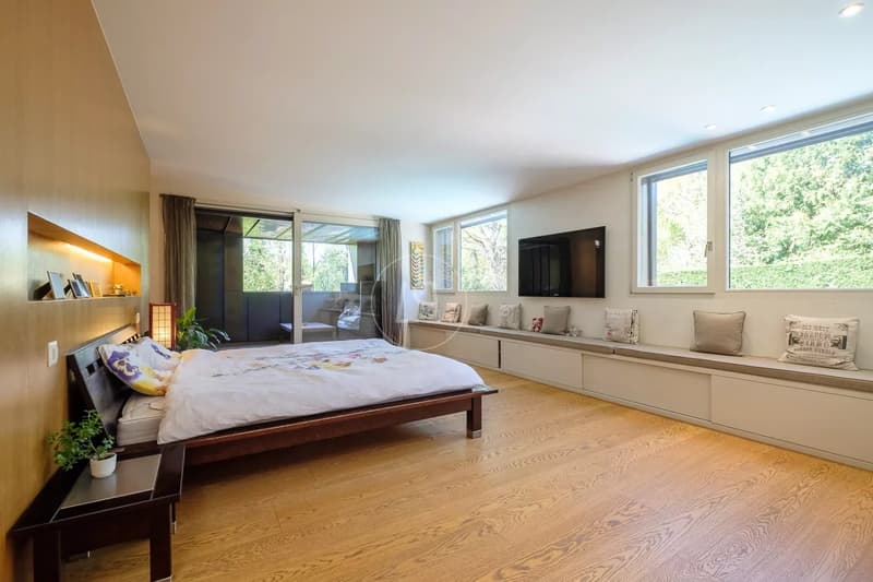 Private and nuisance-free architect-designed property, Conches (GE) (8)