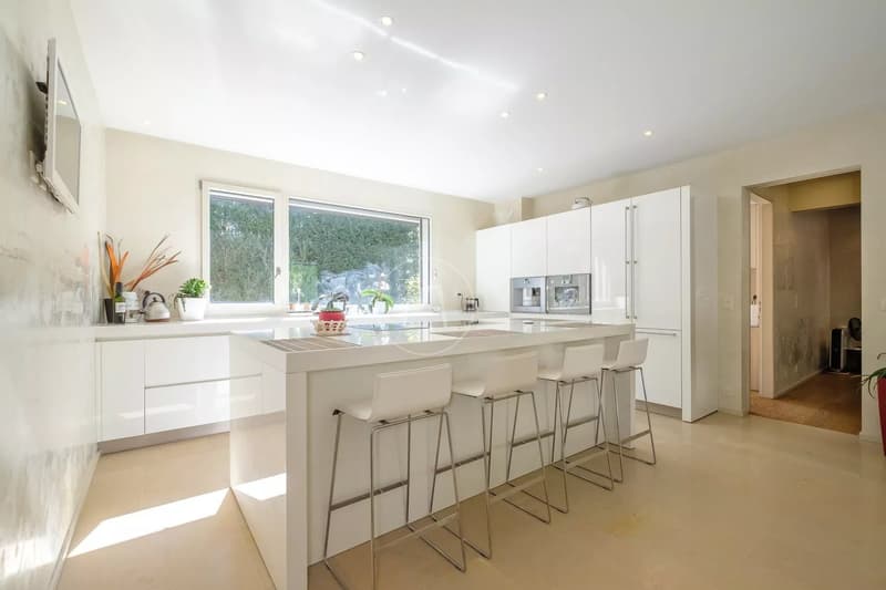 Private and nuisance-free architect-designed property, Conches (GE) (4)