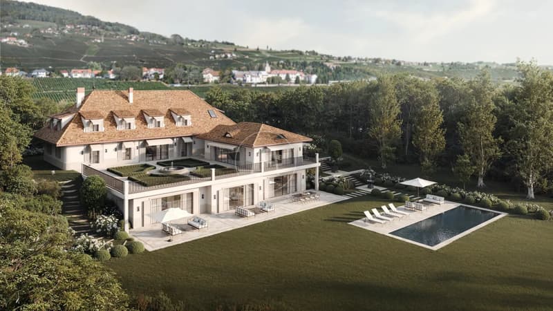 Project, waterfront property to renovate, Rolle area. (4)