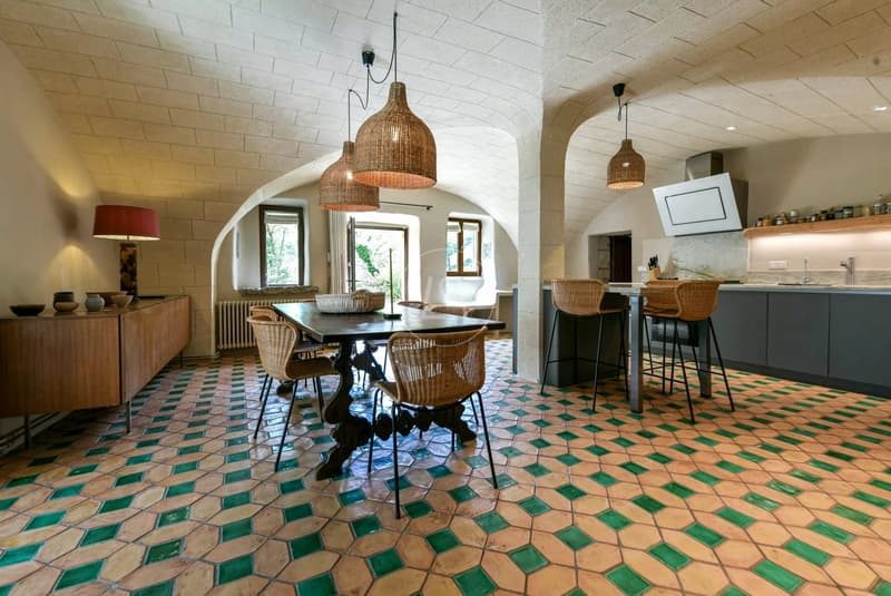 Remarkable 7-hectare country estate in the Gard region, France (12)