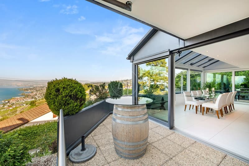 Modern Property with Panoramic Views in Grandvaux (5)