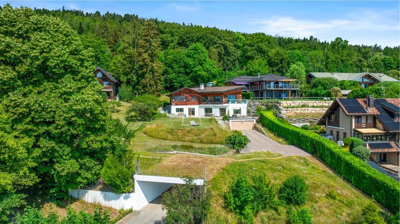 Charming property with 180 view in Arzier-Le Muids (2)