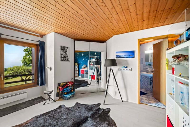 Charming property with 180 view in Arzier-Le Muids (13)