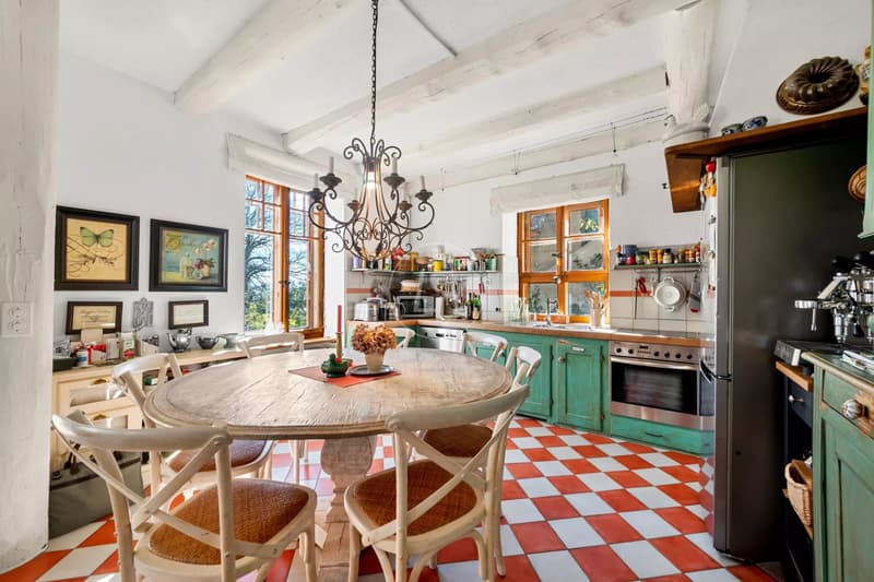 Essertine-sur-Rolle - Master house guaranteeing charm and tranquility (7)