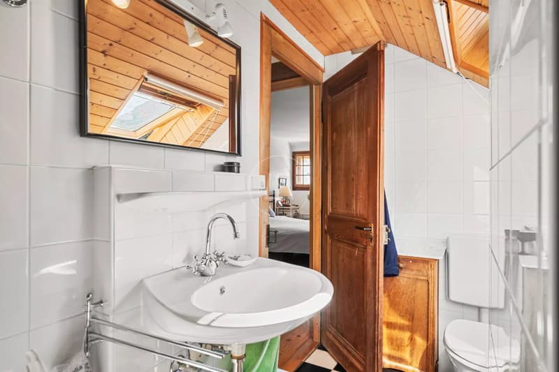 Essertine-sur-Rolle - Master house guaranteeing charm and tranquility (13)