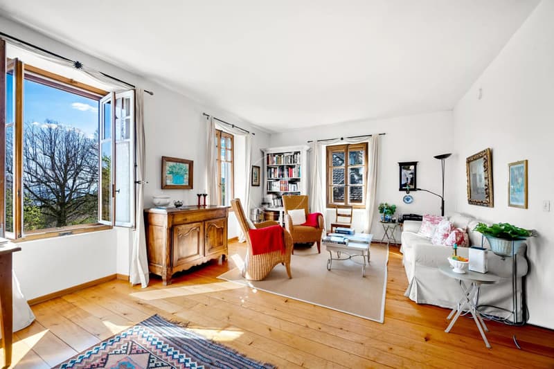 Essertine-sur-Rolle - Master house guaranteeing charm and tranquility (10)