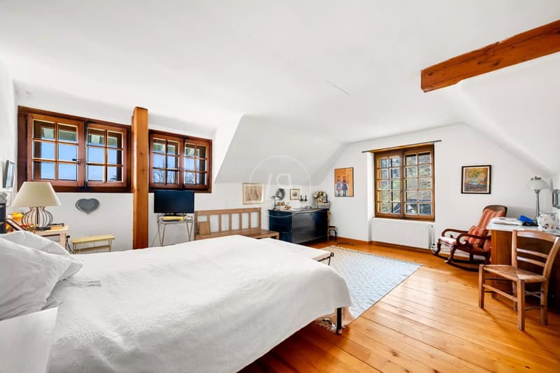 Essertine-sur-Rolle - Master house guaranteeing charm and tranquility (12)