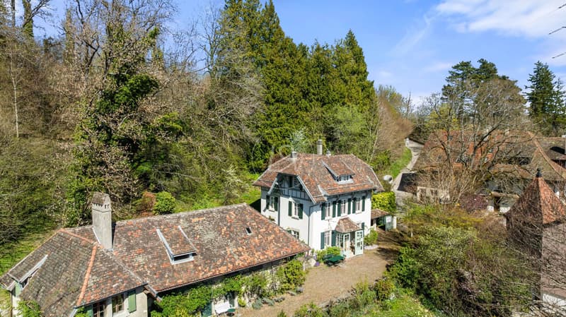 Essertine-sur-Rolle - Characterful manor house with Outbuilding and view of Lake Geneva (1)