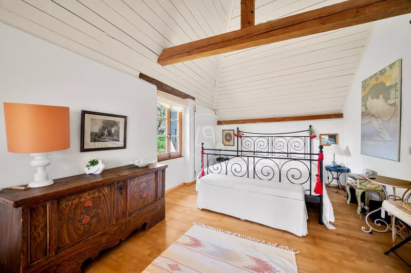 Essertine-sur-Rolle - Characterful manor house with Outbuilding and view of Lake Geneva (3)