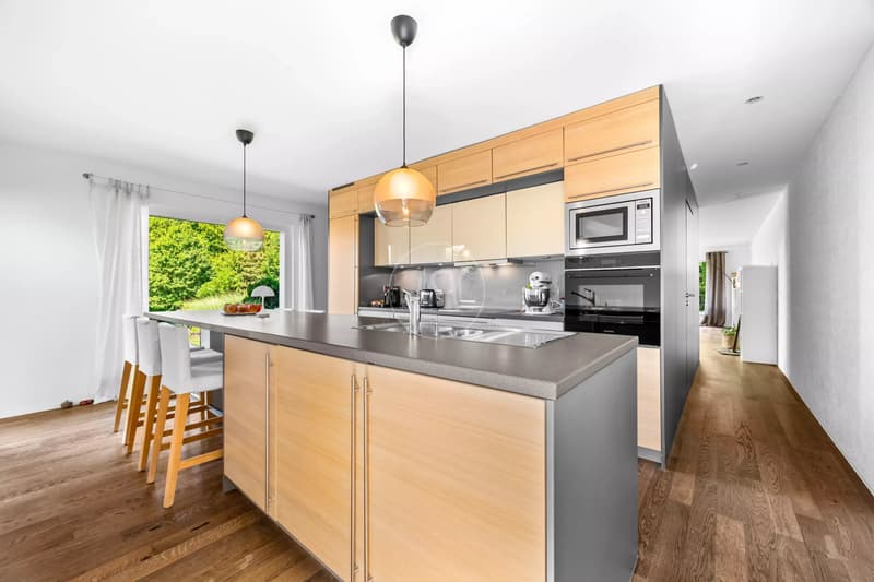 Lovely contemporary house in Saint-Légier (10)