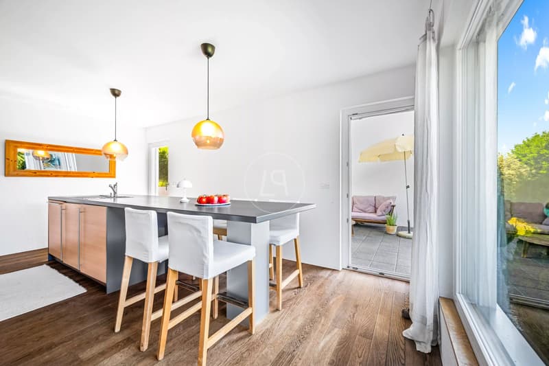 Lovely contemporary house in Saint-Légier (5)