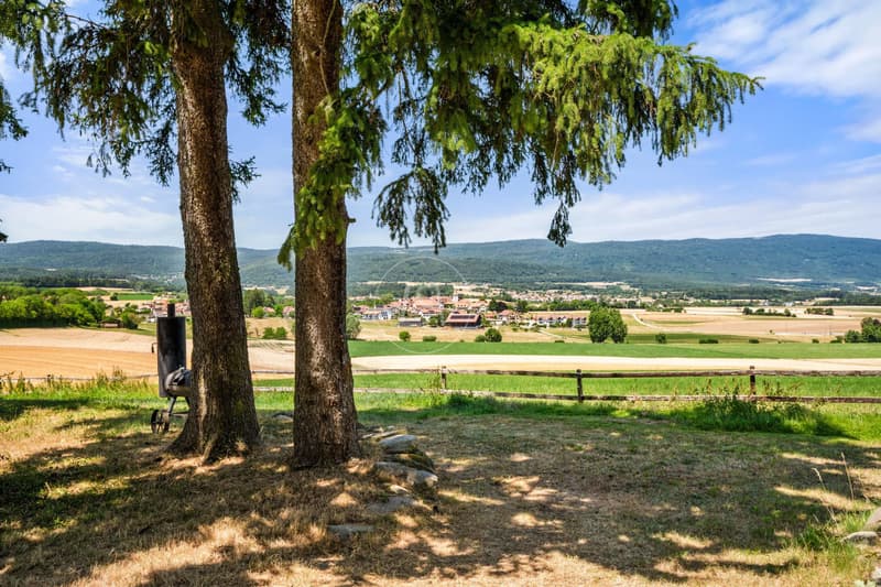 Elegant renovated farmhouse with swimming pool, Essertines-sur-Rolle (11)