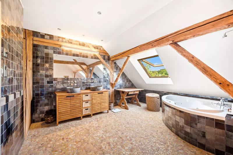Superbe bâtisse avec charme et piscine proche de Lausanne (12)
