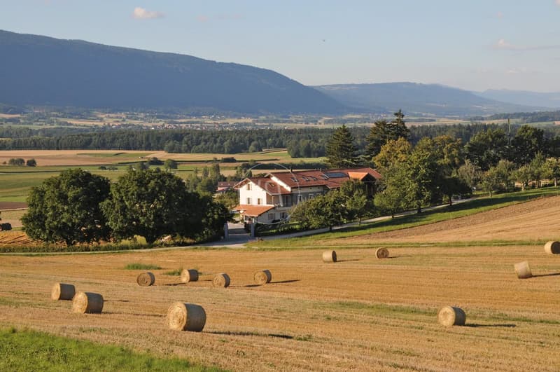 Elégante ferme rénovée avec piscine, proche de Rolle (8)