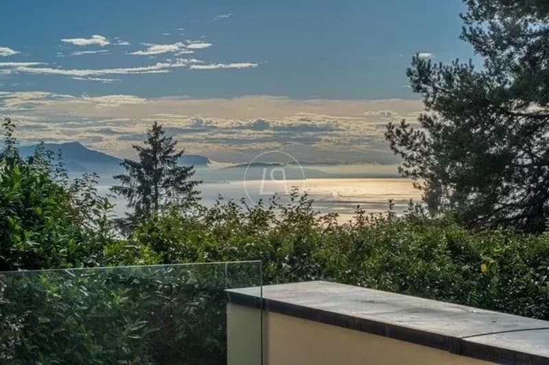 Superbe Townhouse contemporain situé à Lausanne (3)