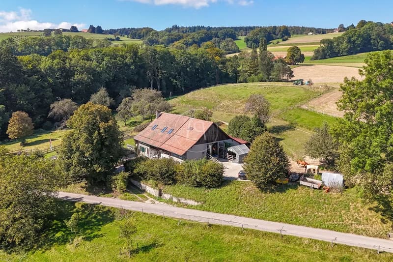 Ferme équestre proche de Lausanne (4)