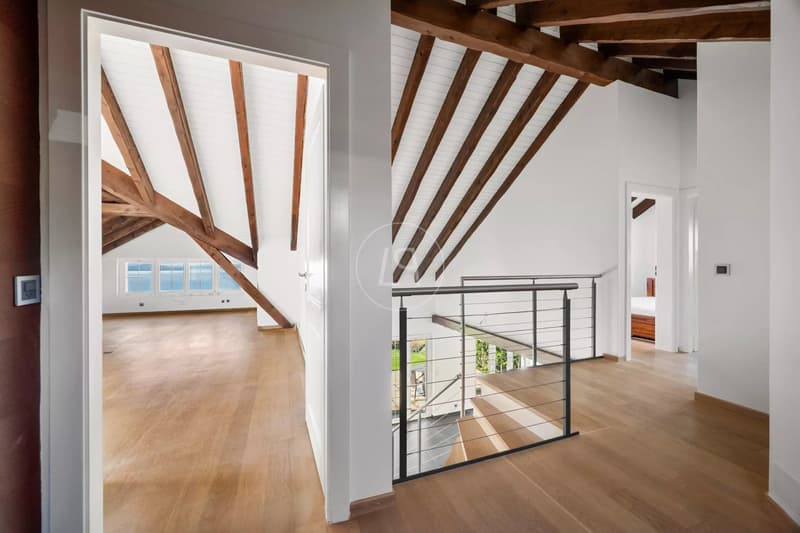 Très belle villa avec vue panoramique à Grandvaux (13)