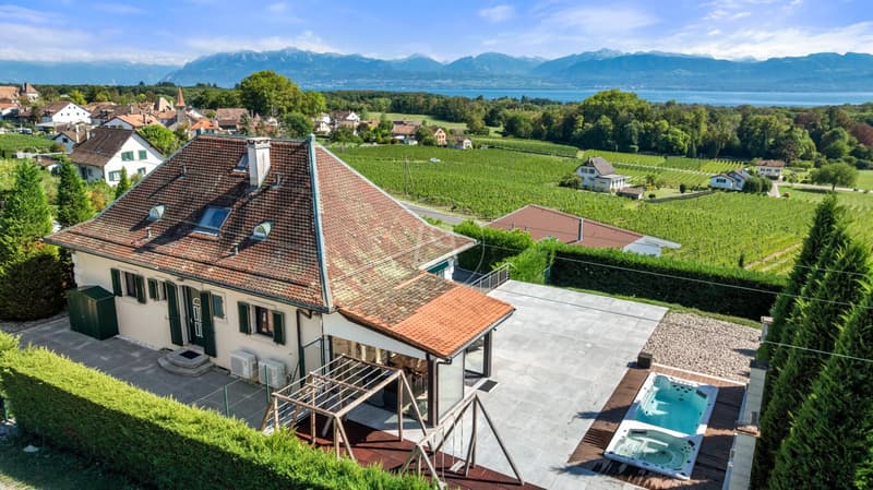 Propriété de charme avec vue panoramique à Allaman (3)