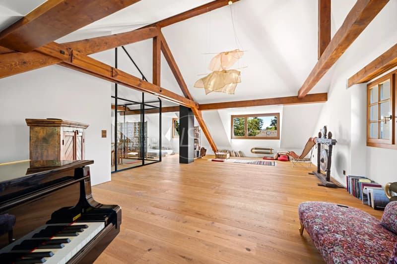 Elégante Maison de maître rénovée au coeur de Chêne-Bougeries (10)