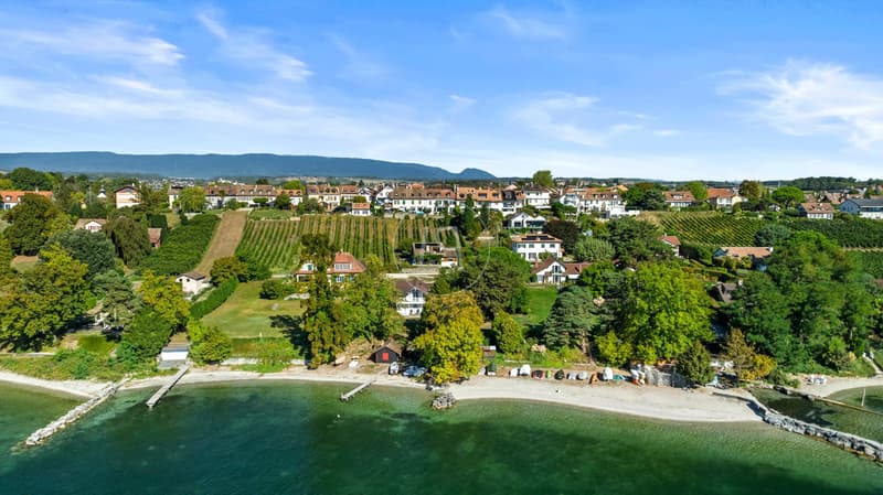 Un écrin avec vue panoramique sur le Léman (1)