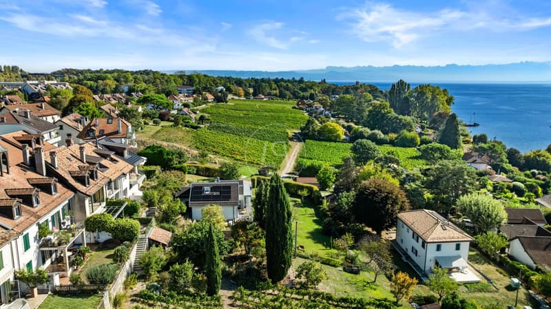 Un écrin avec vue panoramique sur le Léman (3)