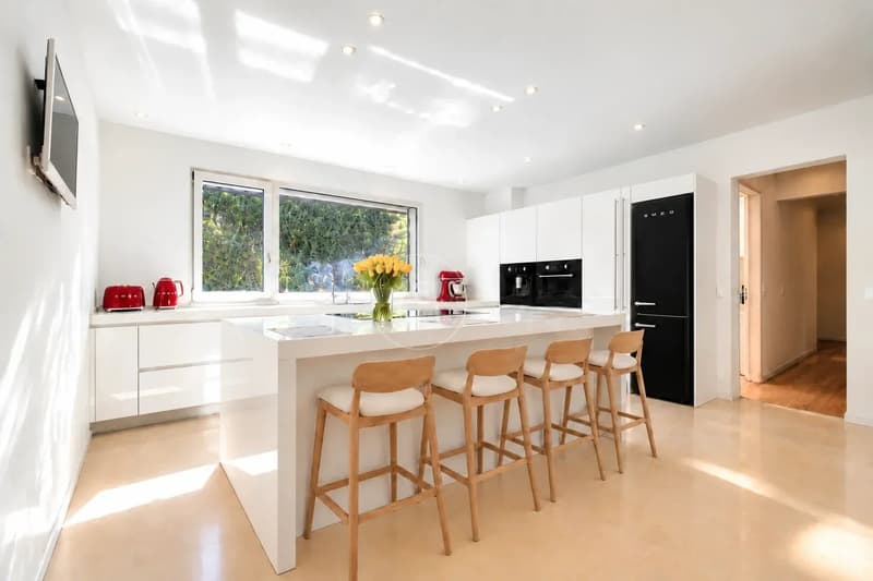 Propriété d'architecte très privative et sans nuisance, Conches (GE) (4)