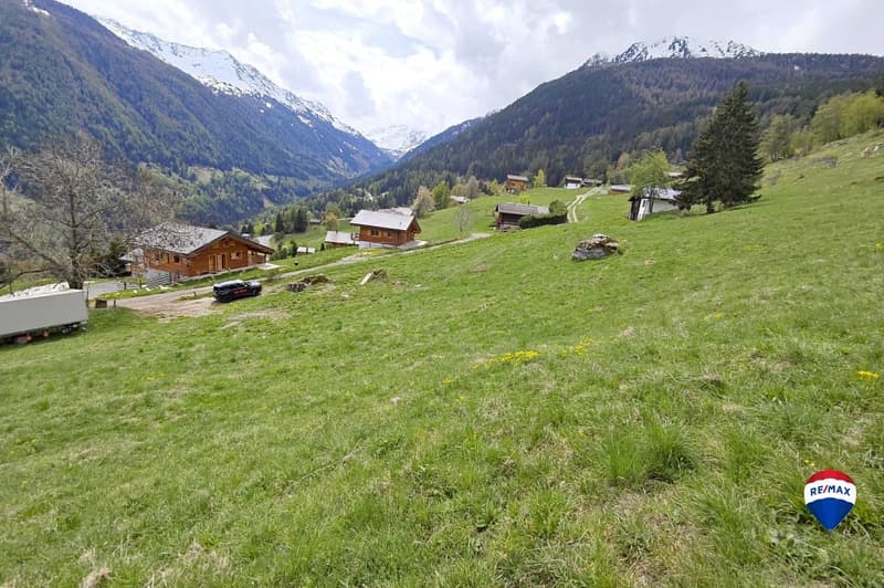 Terrain à bâtir pour 1 à 2 maisons en zone H20 (8)