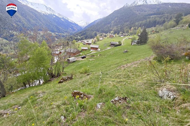 Terrain à bâtir pour 1 à 2 maisons en zone H20 (6)
