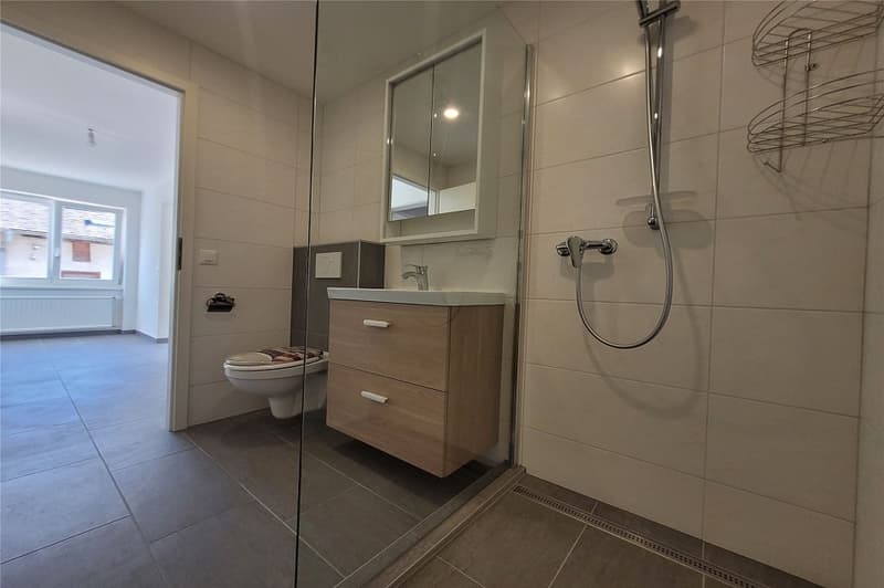 Appartement rénové de 2,5 p. avec véranda (13)