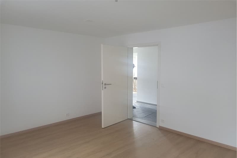 Appartement rénové de 2,5 p. avec véranda (11)