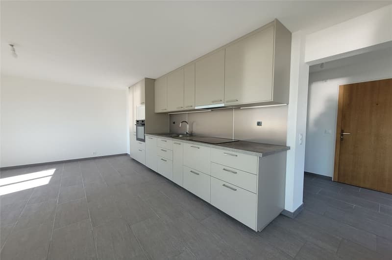 Appartement rénové de 2,5 p. avec véranda (6)