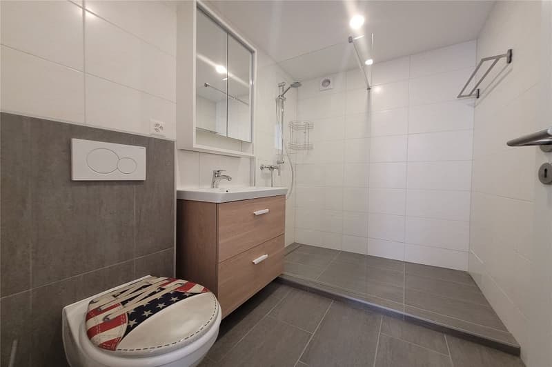 Appartement rénové de 2,5 p. avec véranda (12)