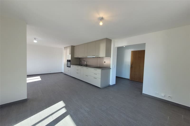 Appartement rénové de 2,5 p. avec véranda (2)