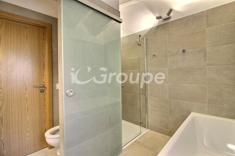 Splendide appartement 4.5 pièces en attique de 217 m2 (7)