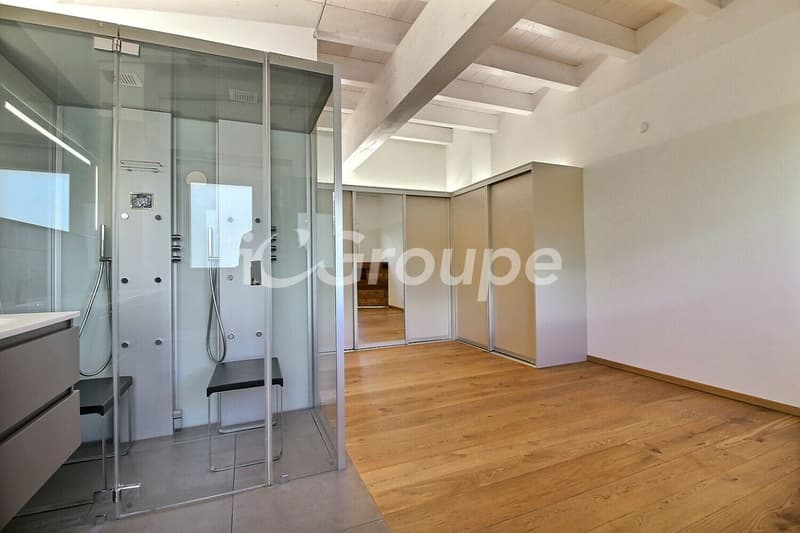 Splendide appartement 4.5 pièces en attique de 217 m2 (9)