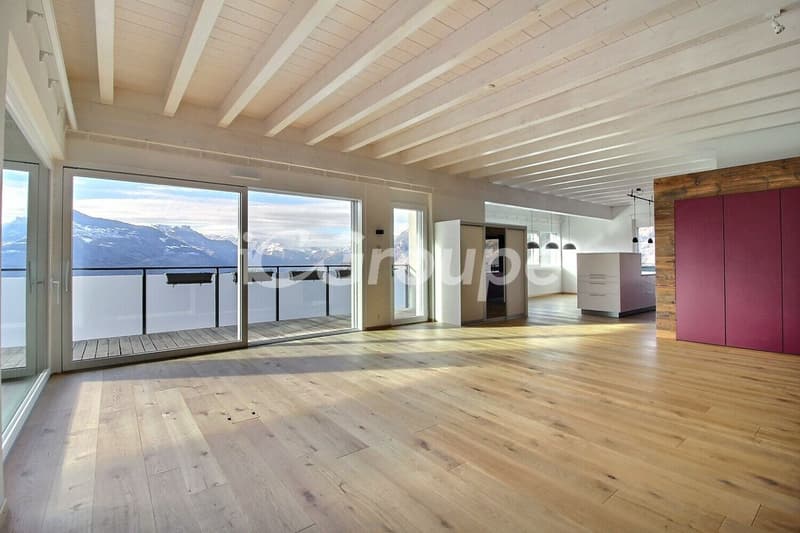 Splendide appartement 4.5 pièces en attique de 217 m2 (1)