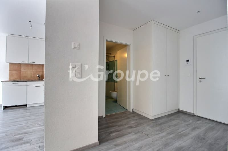 Appartement 3.5 pièces au centre-ville de Sion (5)
