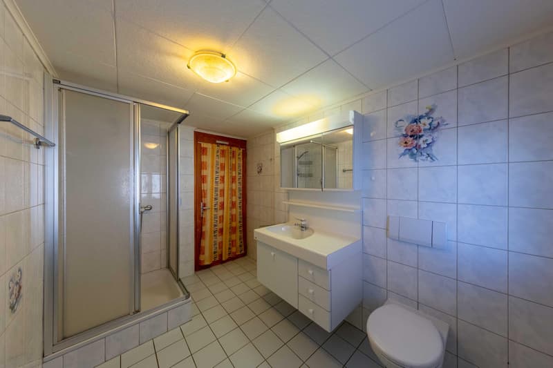 Maison villageoise avec potentiel comprenant un café-restaurant, un appartement en duplex, halle et granges (11)