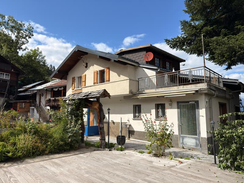 Maison villageoise avec potentiel comprenant un café-restaurant, un appartement en duplex, halle et granges (2)