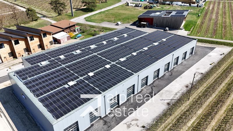 Espace modulable de 160m² - Flexibilité & accessibilité stratégique A9 (7)
